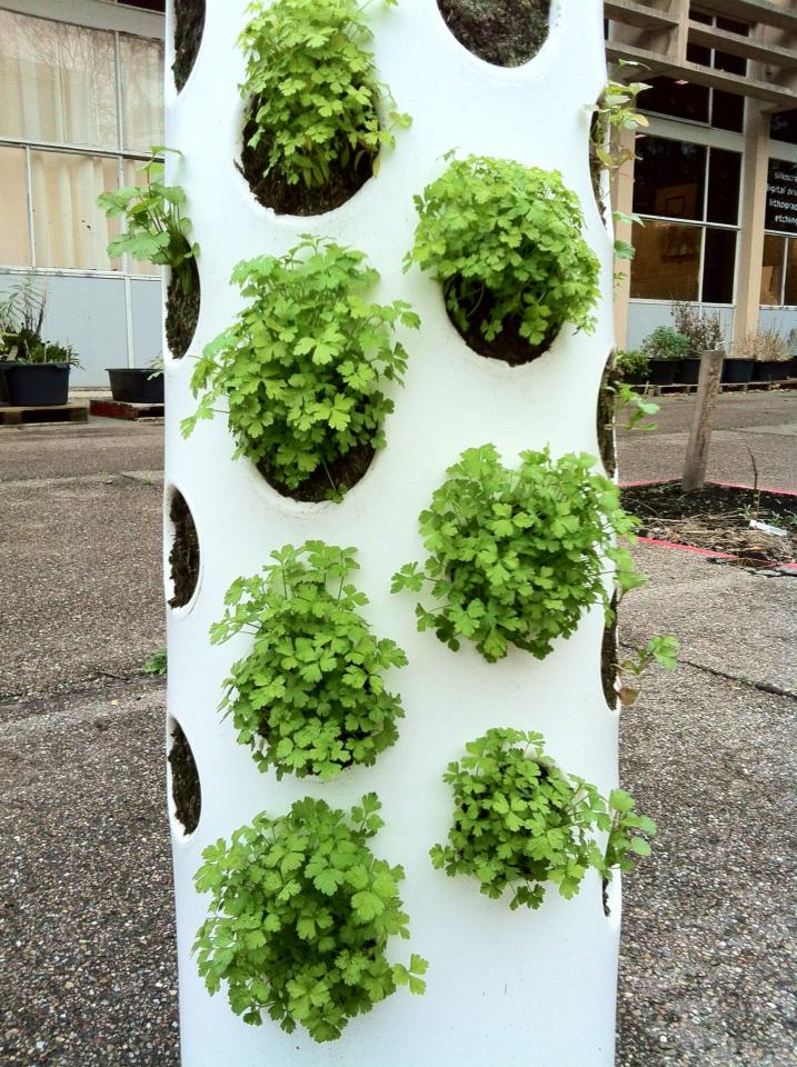 Vertical Garden Tube
