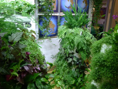 groene wanden amsterdam