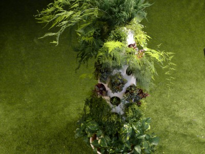 interieurbeplanting