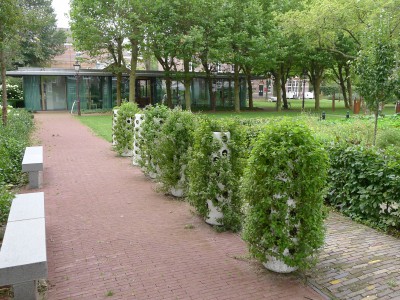 muntplanten amsterdam