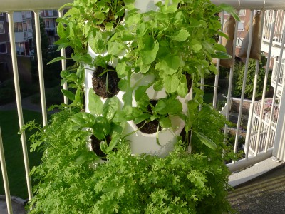 verticaal groente kweken