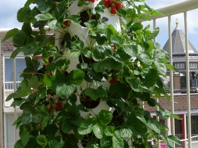 vertical garden tube