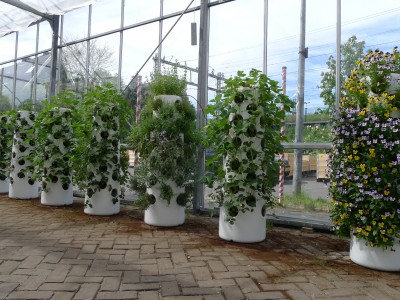 vertical urban agriculture