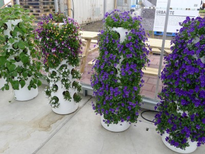 Vertical Garden Tube (2)